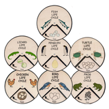 Learning Wheels - Animal Lifecycles