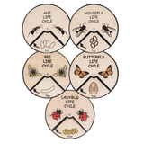 Learning Wheels - Animal Lifecycles