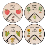 Learning Wheels - Plant Lifecycles