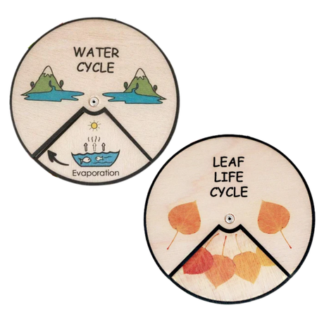 Learning Wheels - Nature Lifecycles