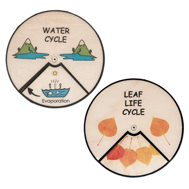 Learning Wheels - Nature Lifecycles