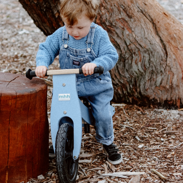 2 in 1 Trike / Balance Bike - Slate Blue