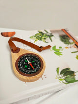 Wooden compass