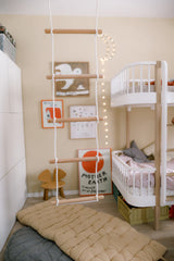 Climbing Ladder
