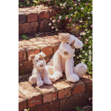Buddy The Dog