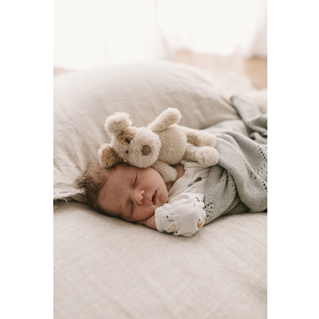 Buddy the Dog Rattle