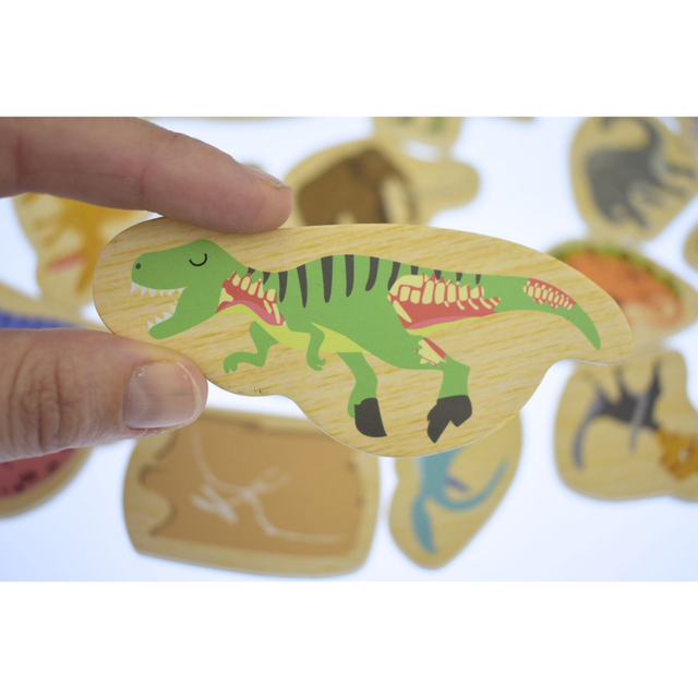 Fridge Magnets Dinosaurs & Prehistoric Animals