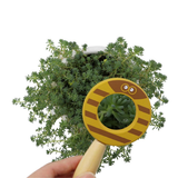 Calm & Breezy Baby Animal Magnifying Glass