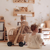Water Hyacinth Doll Pram & Walker Playset