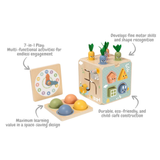 Activity Cube