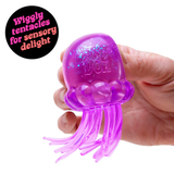 Jelly Squish NeeDoh - December Pre Order