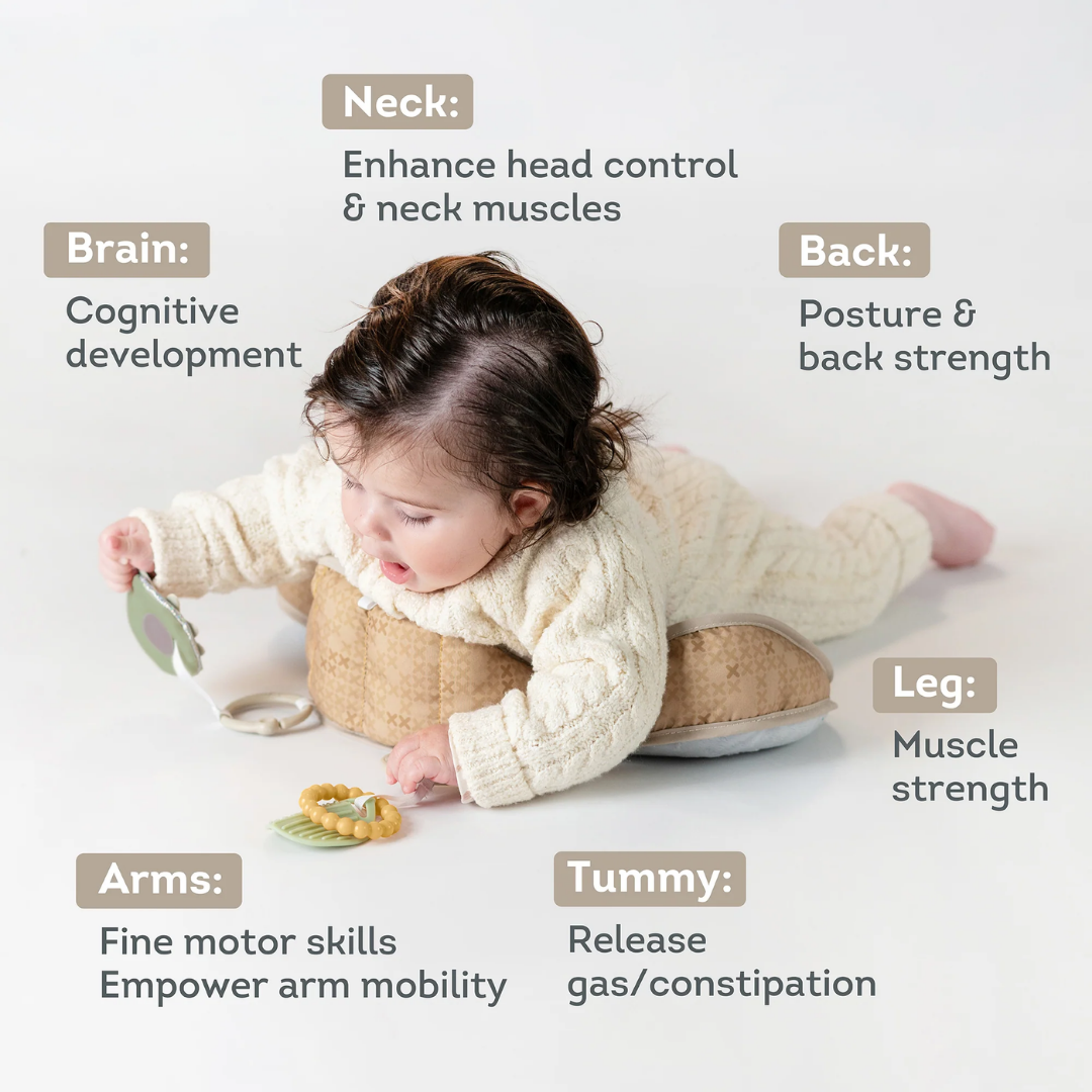 Bear Tummy Time Pillow