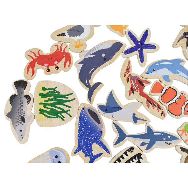 Fridge Magnets Australian Sea Animals