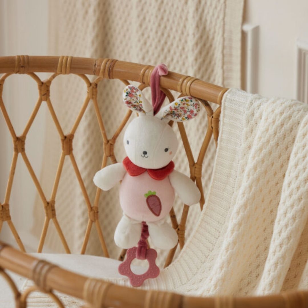 Close-up detail of the Hugglies Musical Bunny