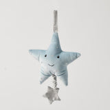 Jiggle & Giggle Musical Toy Star