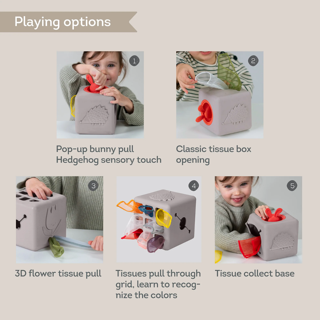 Pop-up Tissue Box