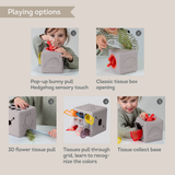 Pop-up Tissue Box
