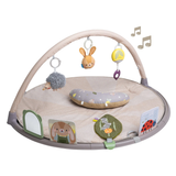 Tummy Time Activity Gym