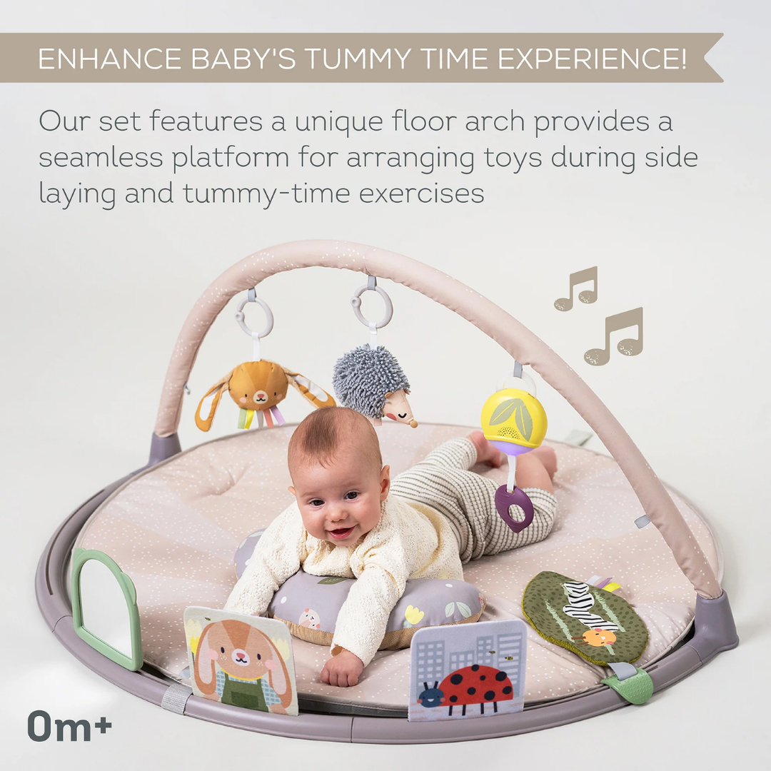 Tummy Time Activity Gym