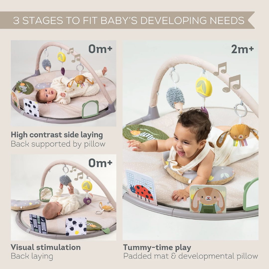 Tummy Time Activity Gym