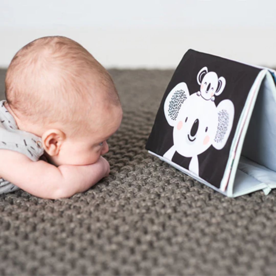 Tummy-Time Book