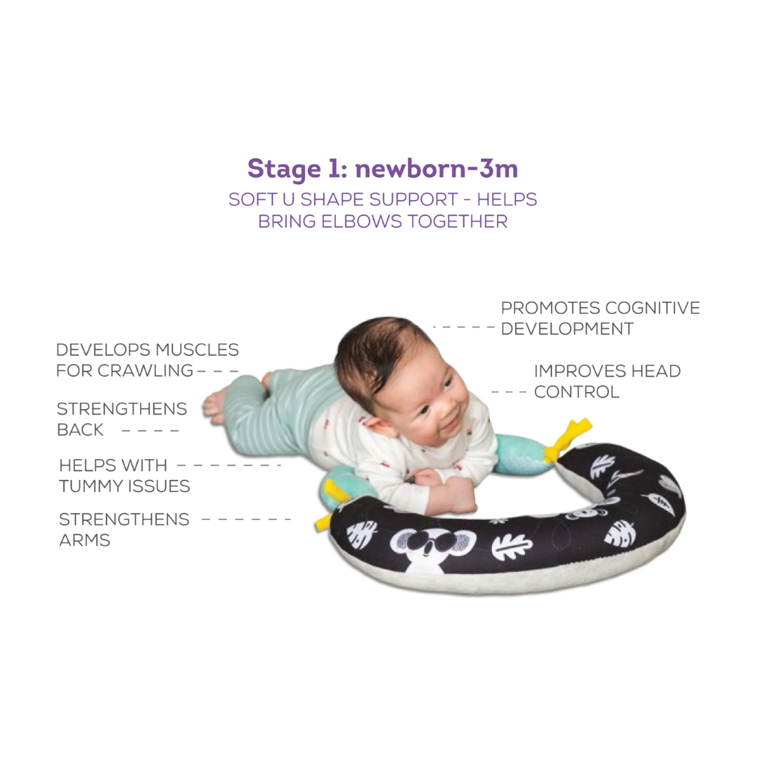 2in1 Tummy Time Pillow