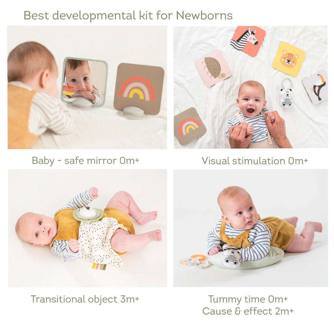 Newborn Develop Play Kit