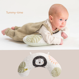 Newborn Develop Play Kit
