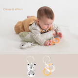 Newborn Develop Play Kit