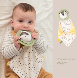 Newborn Develop Play Kit