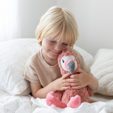 Francesca The Flamingo – Weighted Sensory Toy for Kids