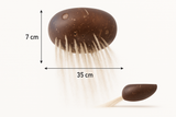Coconut Shell Sand Scoop