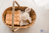Wicker Dolls Basket