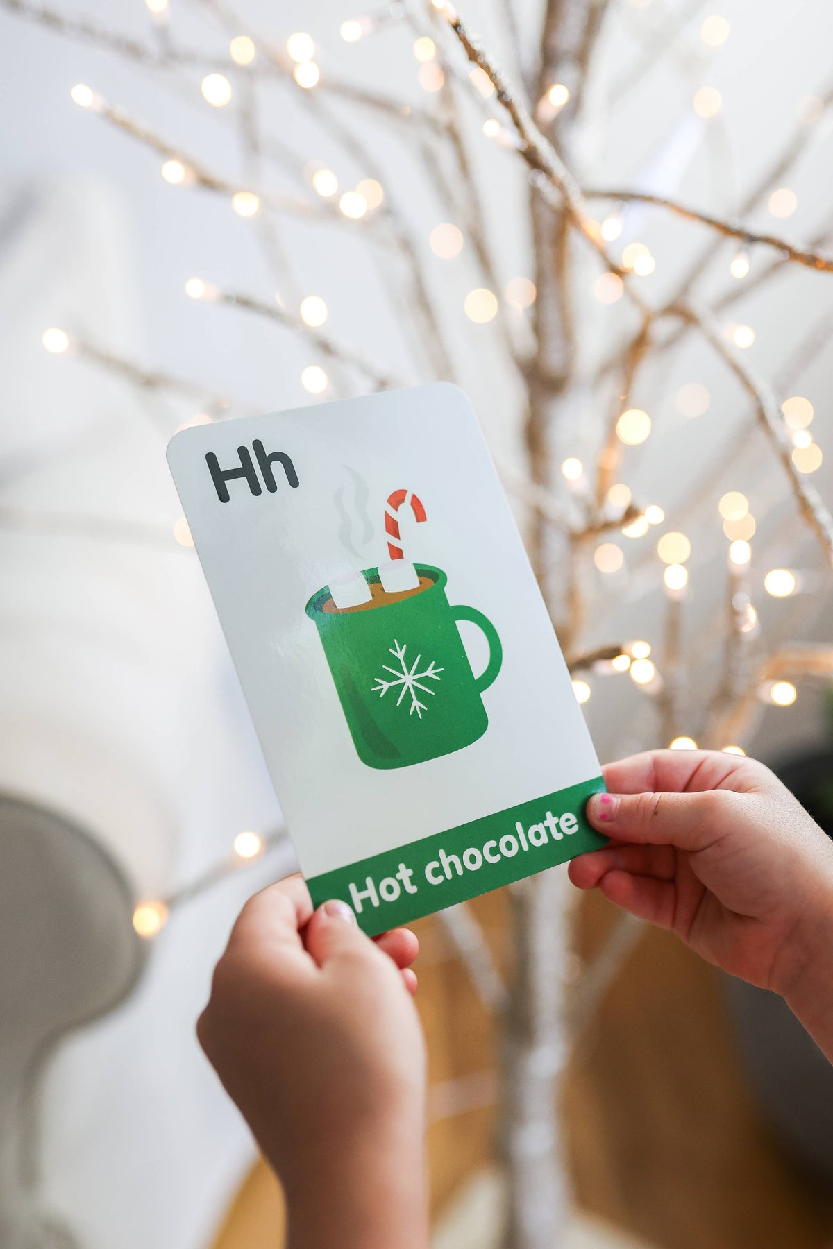 Christmas Flash Cards on the fridge