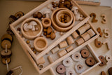 Montessori Sorting Trays Set of 3