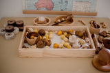 Montessori Sorting Trays Set of 3