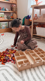 Montessori Sorting Trays Set of 3
