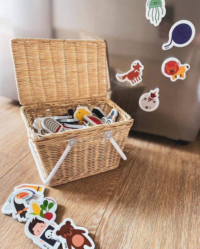 Magnetic Letters & Objects
