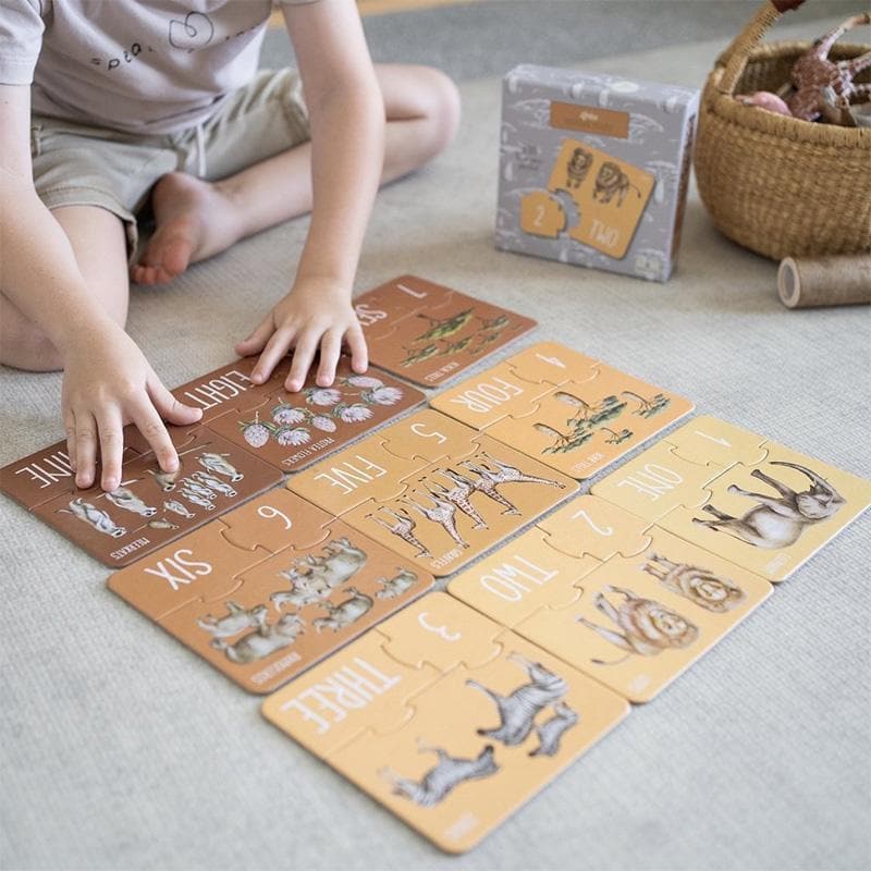Africa Counting Puzzle