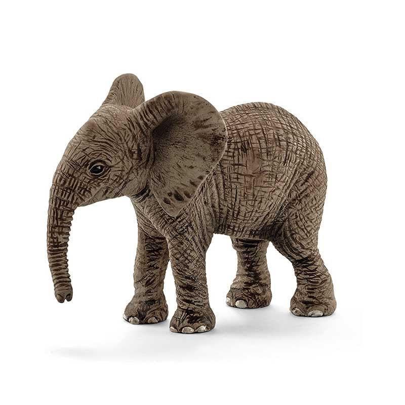 African Elephant Calf