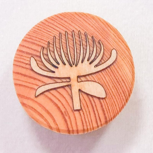 Australian Flora Wooden Playdough Stamps