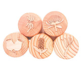 Australian Flora Wooden Playdough Stamps