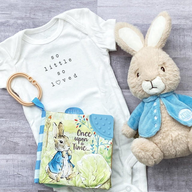 Peter Rabbit Once Upon A Time: Soft Book