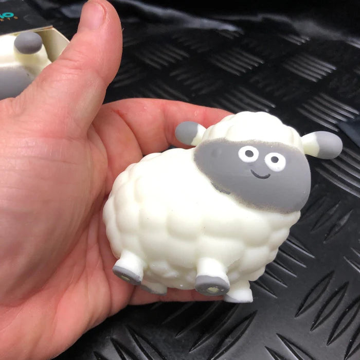 Baa Baa the Squishy Sheep