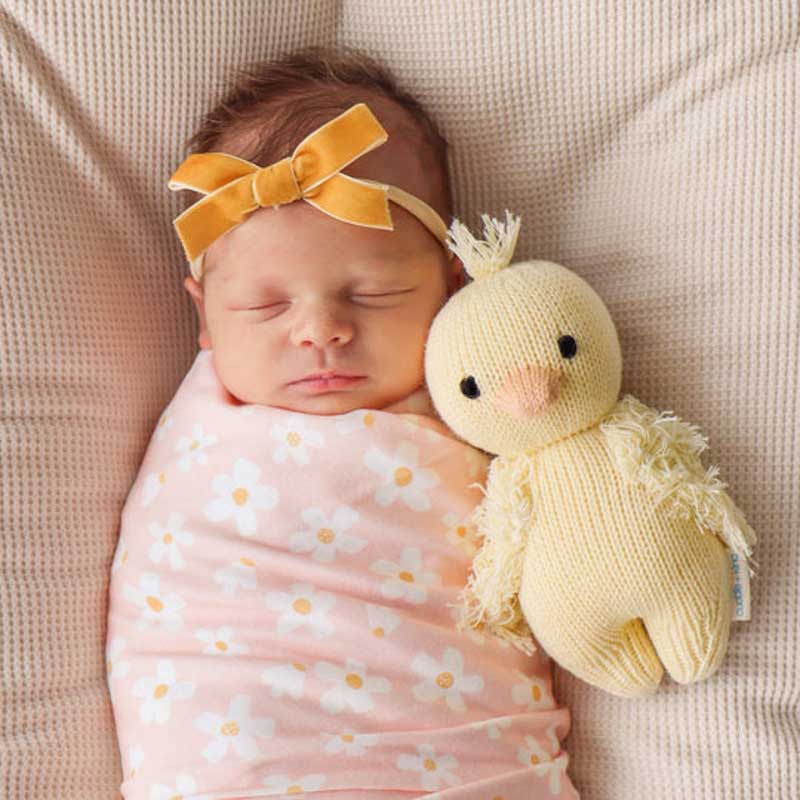 Close-up detail of the Baby Duckling