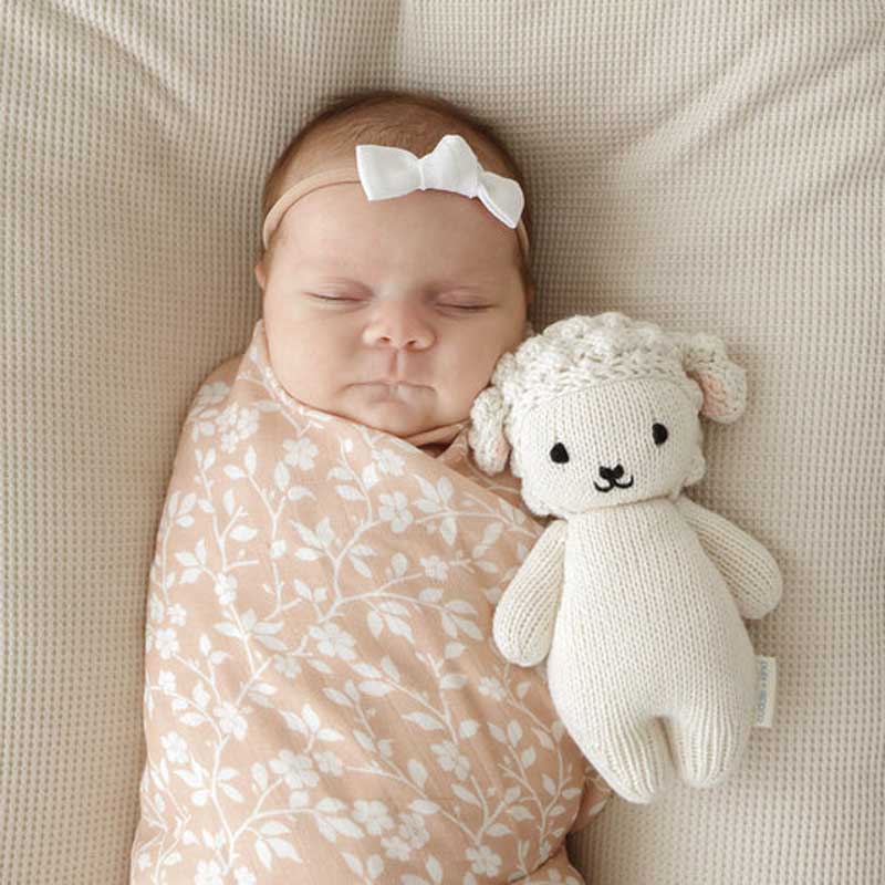 Close-up detail of the Baby Lamb