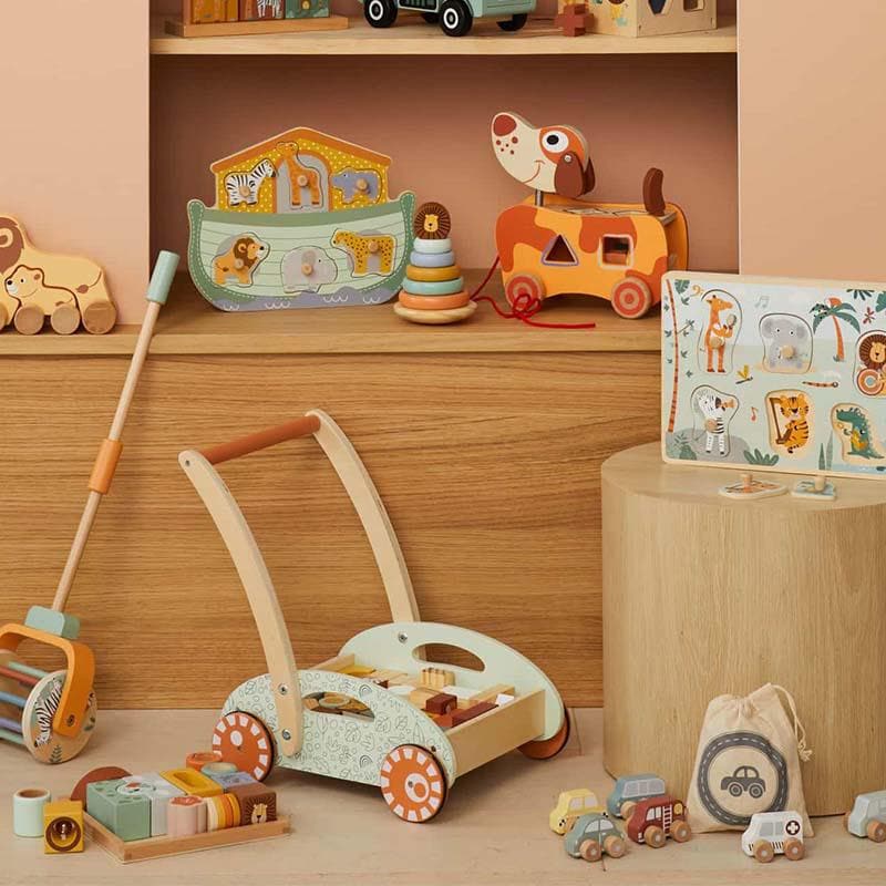 Baby Walker with Blocks