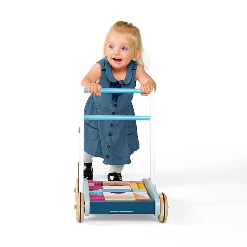 Baby Walker with Bricks