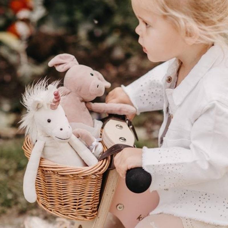 Kinderfeets Bike Basket – every toddler loves to transport their treasures