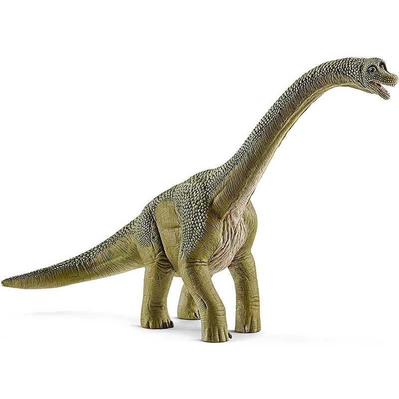 Brachiosaurus